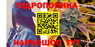 гашик Нягань