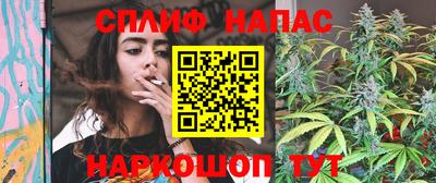 гашик Нягань