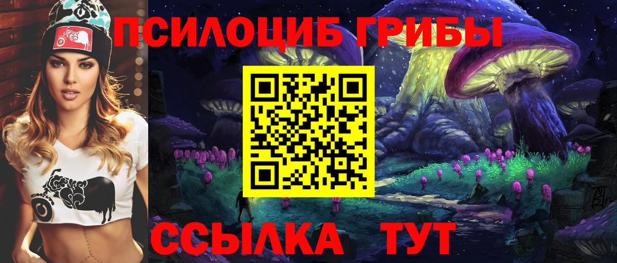 Псилоцибиновые грибы мицелий Тайшет