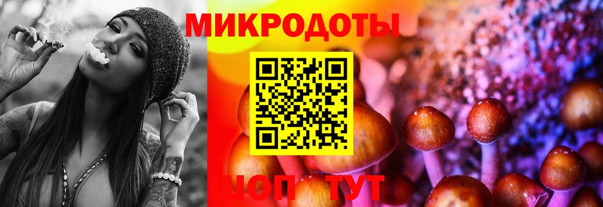 Псилоцибиновые грибы Magic Shrooms  Вход с VPN  Тайшет  Галлюциногенные грибы мицелий 